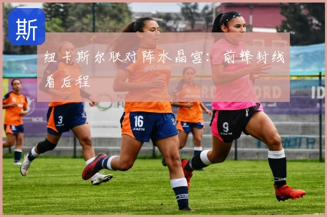 纽卡斯尔联对阵水晶宫:前锋封线看后程